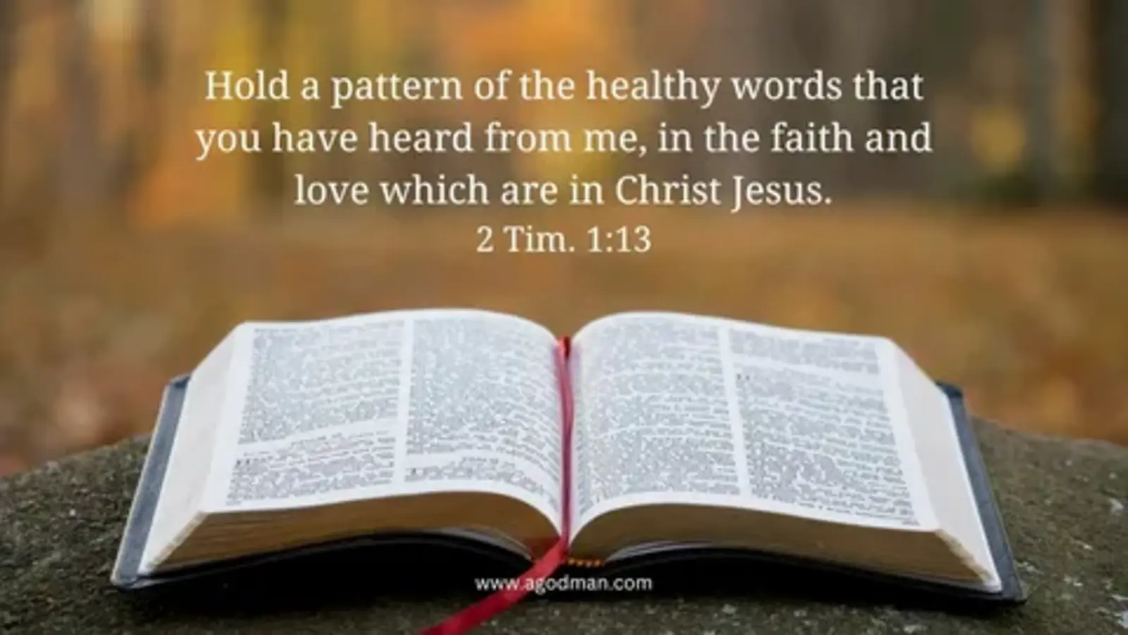 bible verse about forgiveness